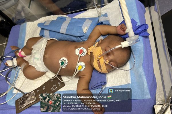 WhatsApp Image 2026-01-13 at 11.02.26 PM (2)